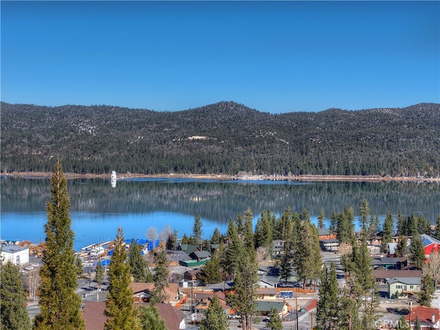 40618 Sunburst Cir, Big Bear Lake, CA 92315 - photo 37