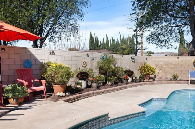 view of swimming pool featuring a fenced in pool, a patio area, and a fenced backyard