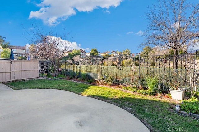 view of yard with a patio area and a fenced backyard