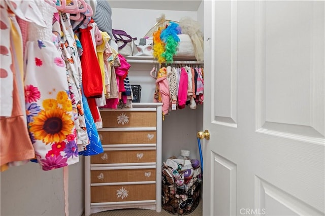 view of walk in closet