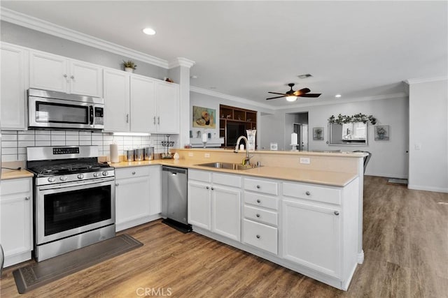 kitchen with appliances with stainless steel finishes, crown molding, a sink, and a peninsula