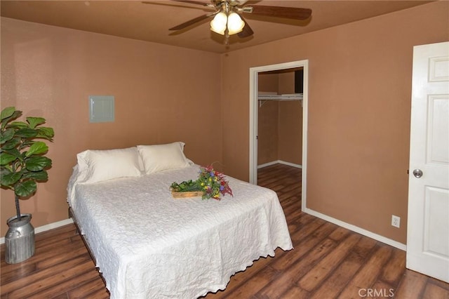 bedroom with baseboards, a ceiling fan, dark wood-style floors, a walk in closet, and a closet