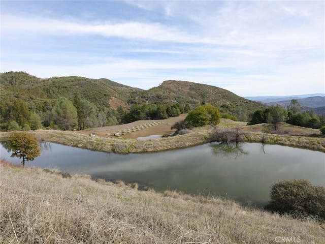 11640 Dry Creek Rd, Middletown CA, 95461 land for sale