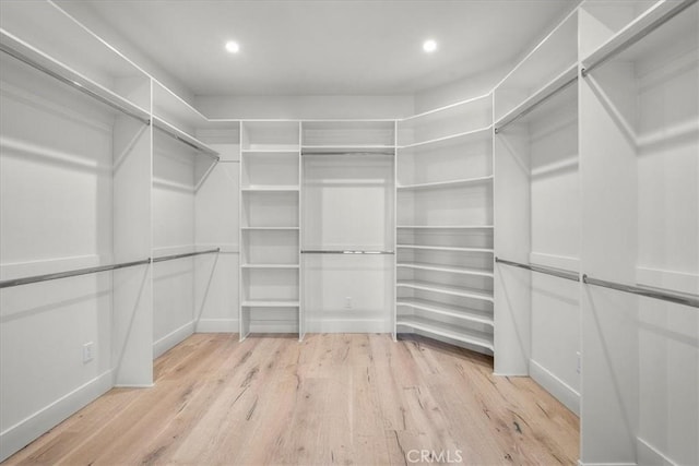 walk in closet featuring light wood-style flooring