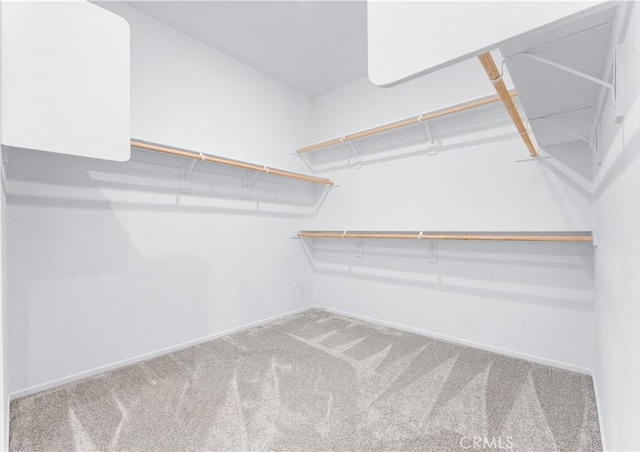 spacious closet with carpet floors