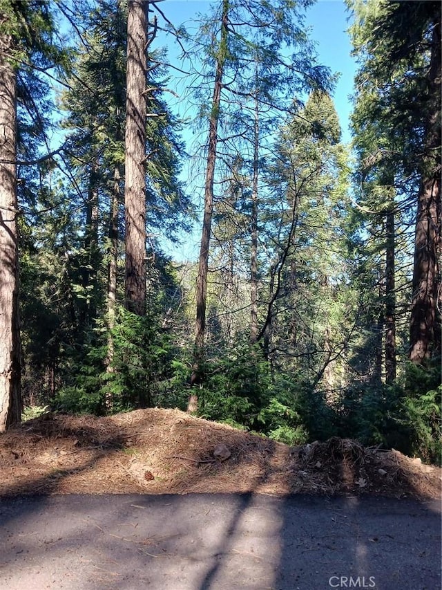 687 Spring Dr, Cedarpines Park, CA 92322
