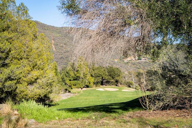 view of property's community featuring a yard and a mountain view