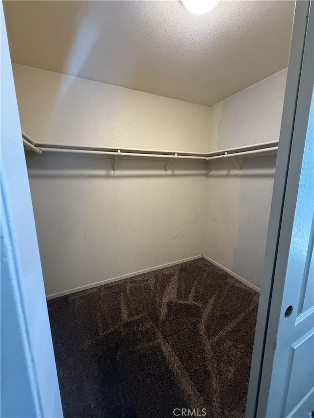 walk in closet featuring carpet