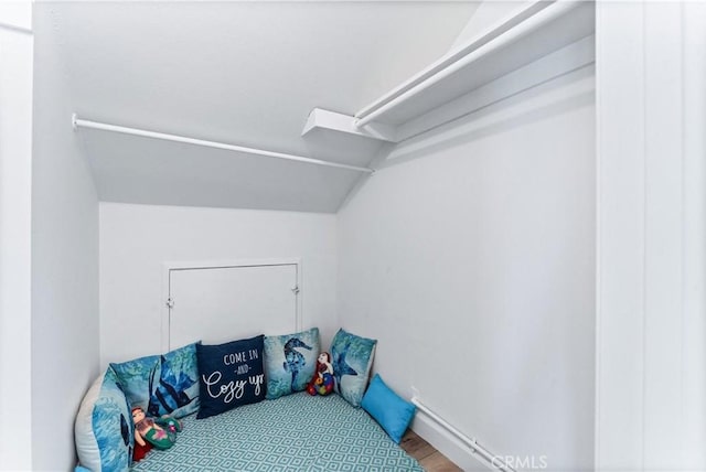 spacious closet featuring vaulted ceiling and wood finished floors