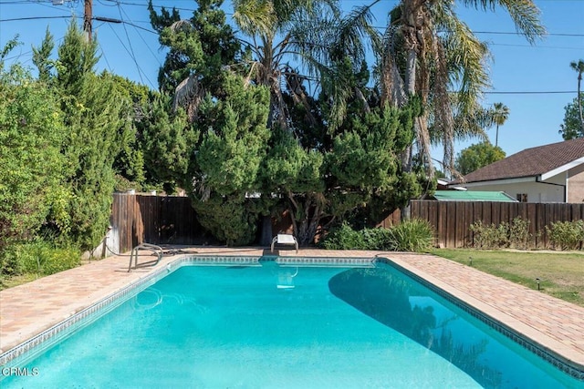 view of swimming pool featuring a patio, a fenced backyard, and a fenced in pool