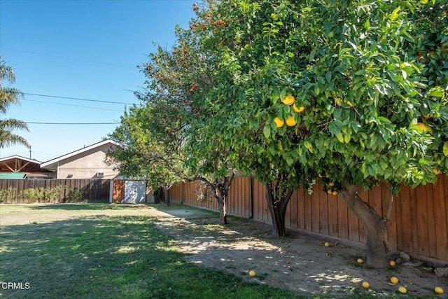 view of yard featuring a fenced backyard