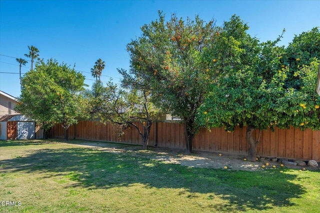 view of yard featuring fence