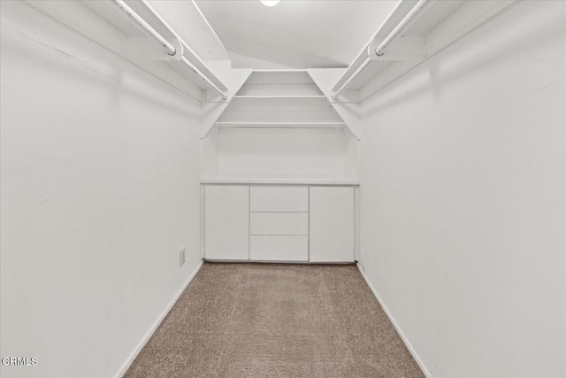 walk in closet with light carpet