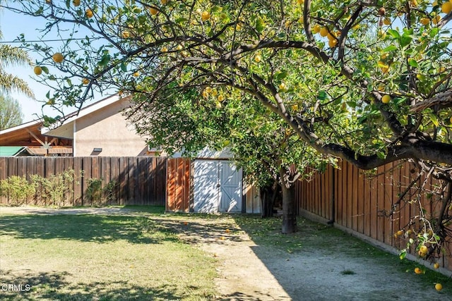 view of yard featuring an outbuilding and fence