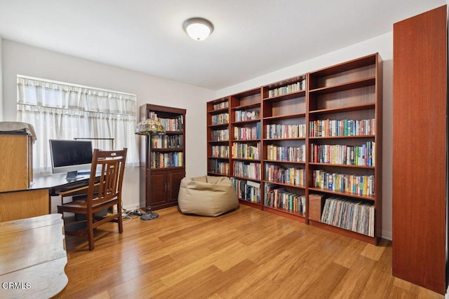 office featuring wood finished floors