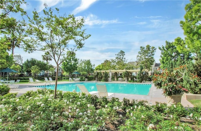 5 Ash Hollow Trl, Ladera Ranch, CA 92694 - community pool featuring a patio area