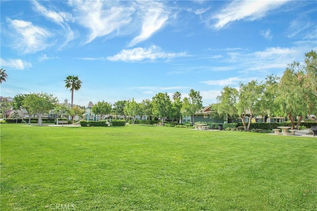 view of property's community featuring a yard