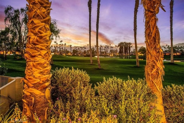 31 Blue River Dr, Palm Desert, CA 92211 - view of home's community with a yard