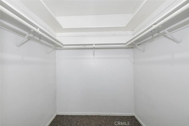 walk in closet with carpet floors