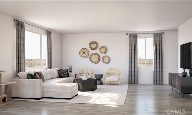 living room featuring wood finished floors