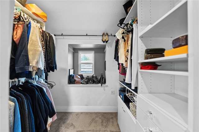 spacious closet featuring carpet