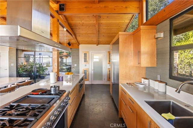 kitchen with lofted ceiling with beams, a sink, exhaust hood, wood ceiling, and appliances with stainless steel finishes