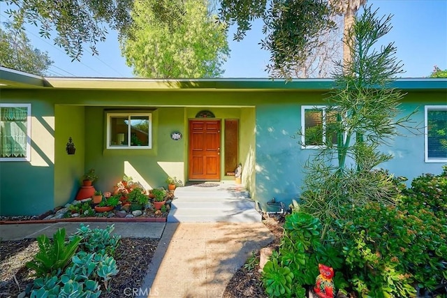 doorway to property featuring stucco siding