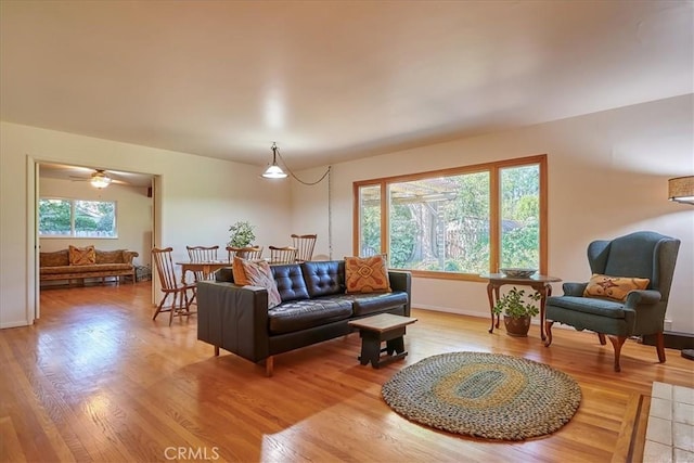 living area featuring a wealth of natural light, baseboards, and wood finished floors