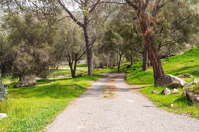 surrounding community with gravel driveway and a view of trees