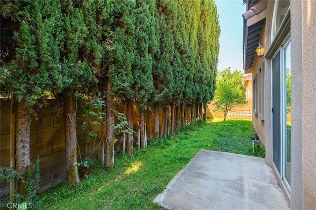 view of yard featuring a patio and a fenced backyard