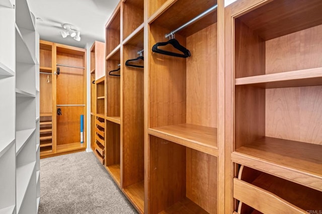 walk in closet featuring carpet flooring