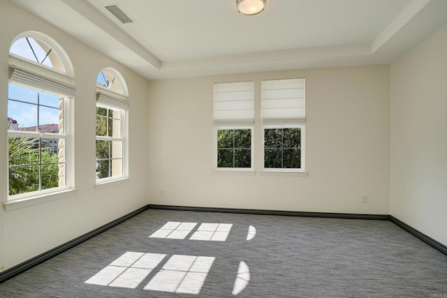 carpeted spare room with a raised ceiling, baseboards, and visible vents