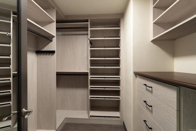 view of walk in closet