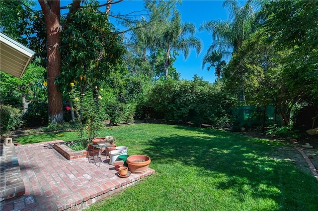 view of yard with a patio area