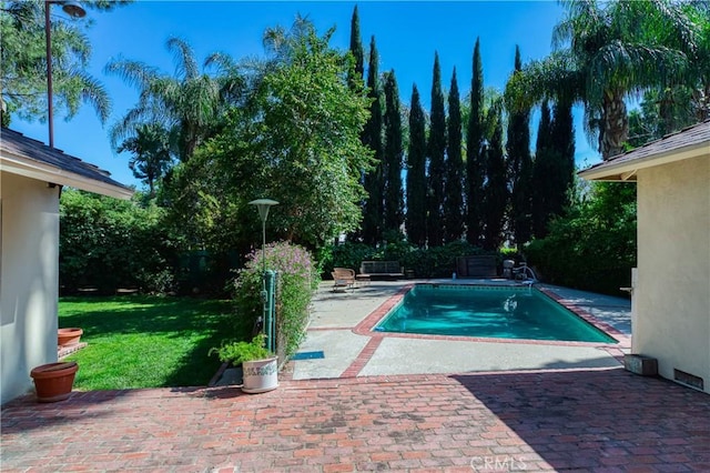 pool featuring a patio area and a yard