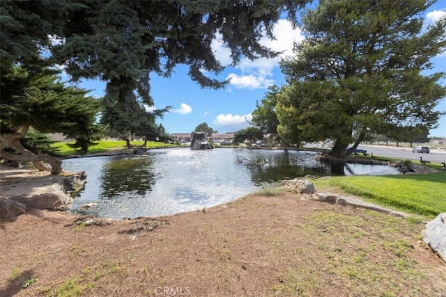 water view