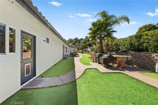 view of yard featuring a patio