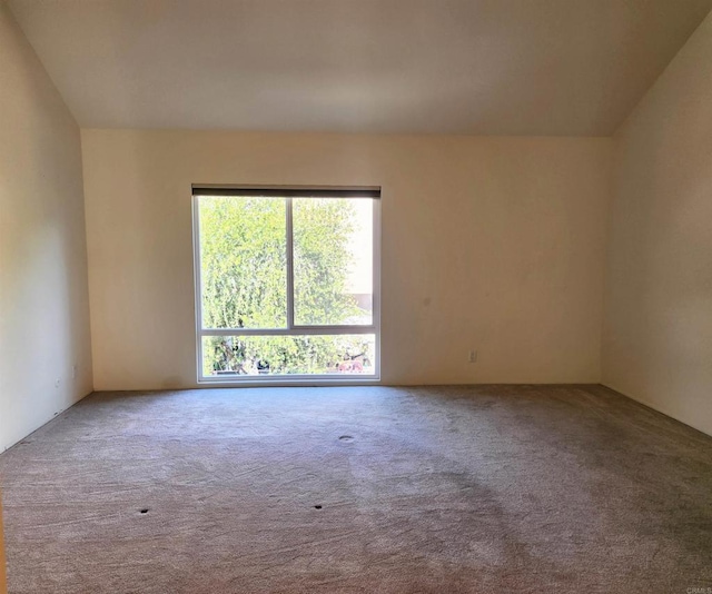 empty room with carpet flooring