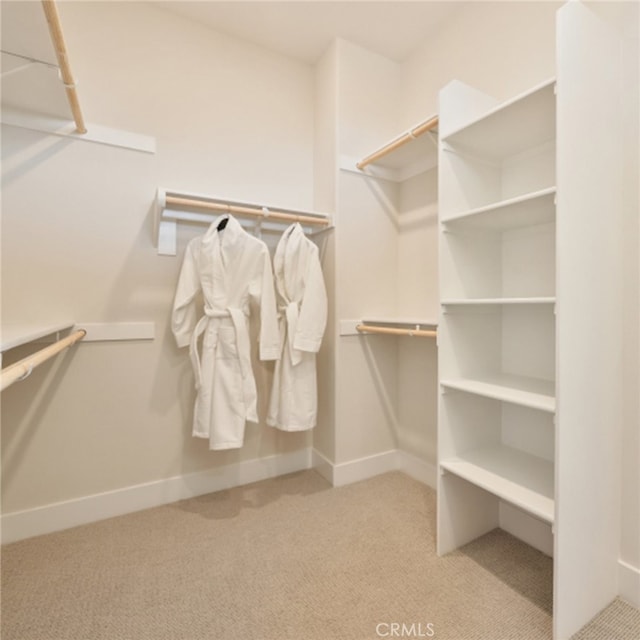 spacious closet featuring carpet