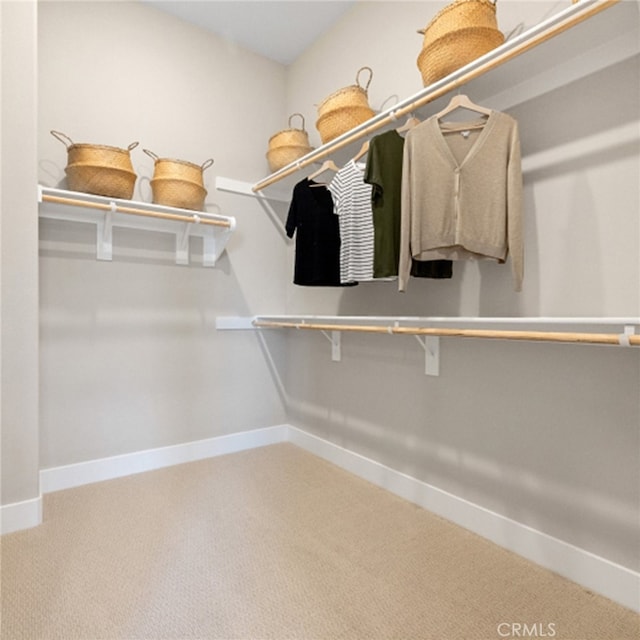 spacious closet with carpet