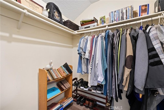 spacious closet with vaulted ceiling