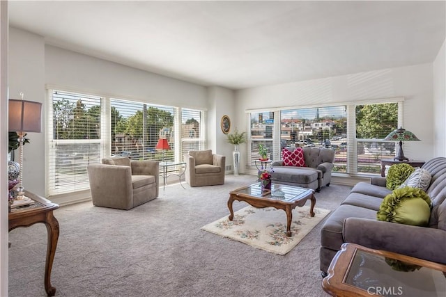 living area with carpet