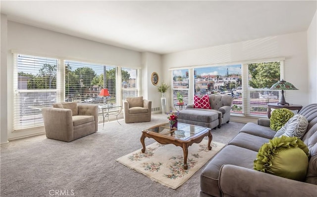 view of carpeted living room