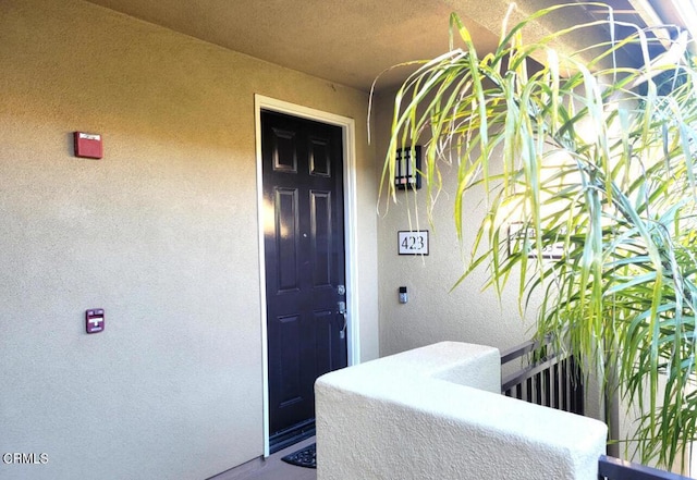 doorway to property featuring stucco siding