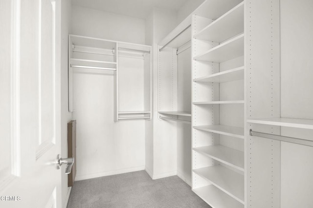 walk in closet with light colored carpet