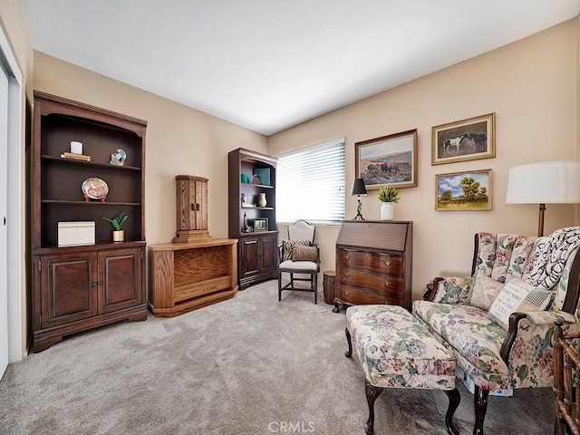 living area featuring carpet