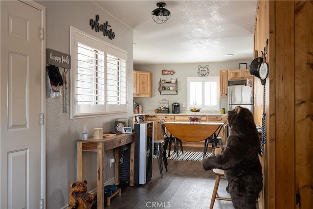 kitchen featuring light countertops, wood finished floors, light brown cabinets, and freestanding refrigerator