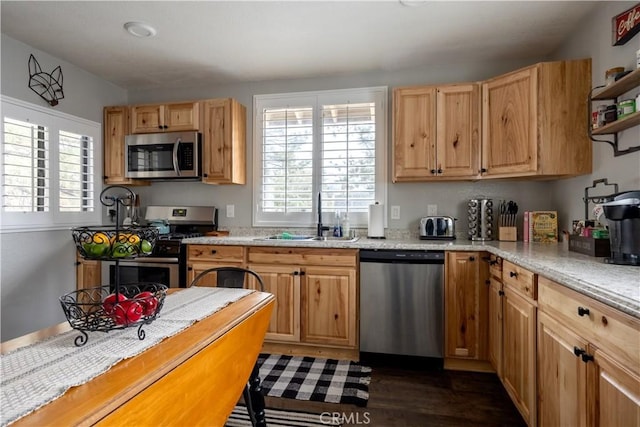 kitchen featuring a wealth of natural light, appliances with stainless steel finishes, dark wood-type flooring, and a sink