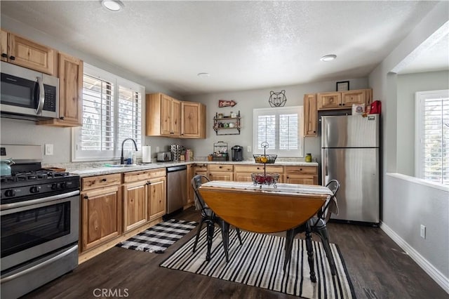 kitchen featuring a wealth of natural light, stainless steel appliances, a sink, and light countertops