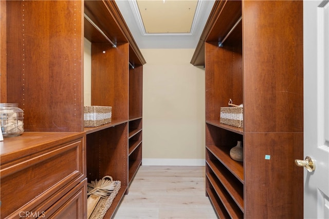 walk in closet with light wood-type flooring